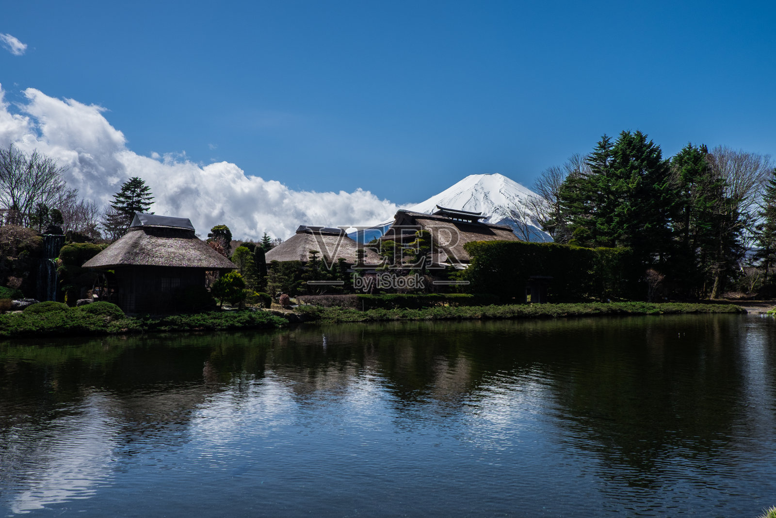 自然之美照片摄影图片
