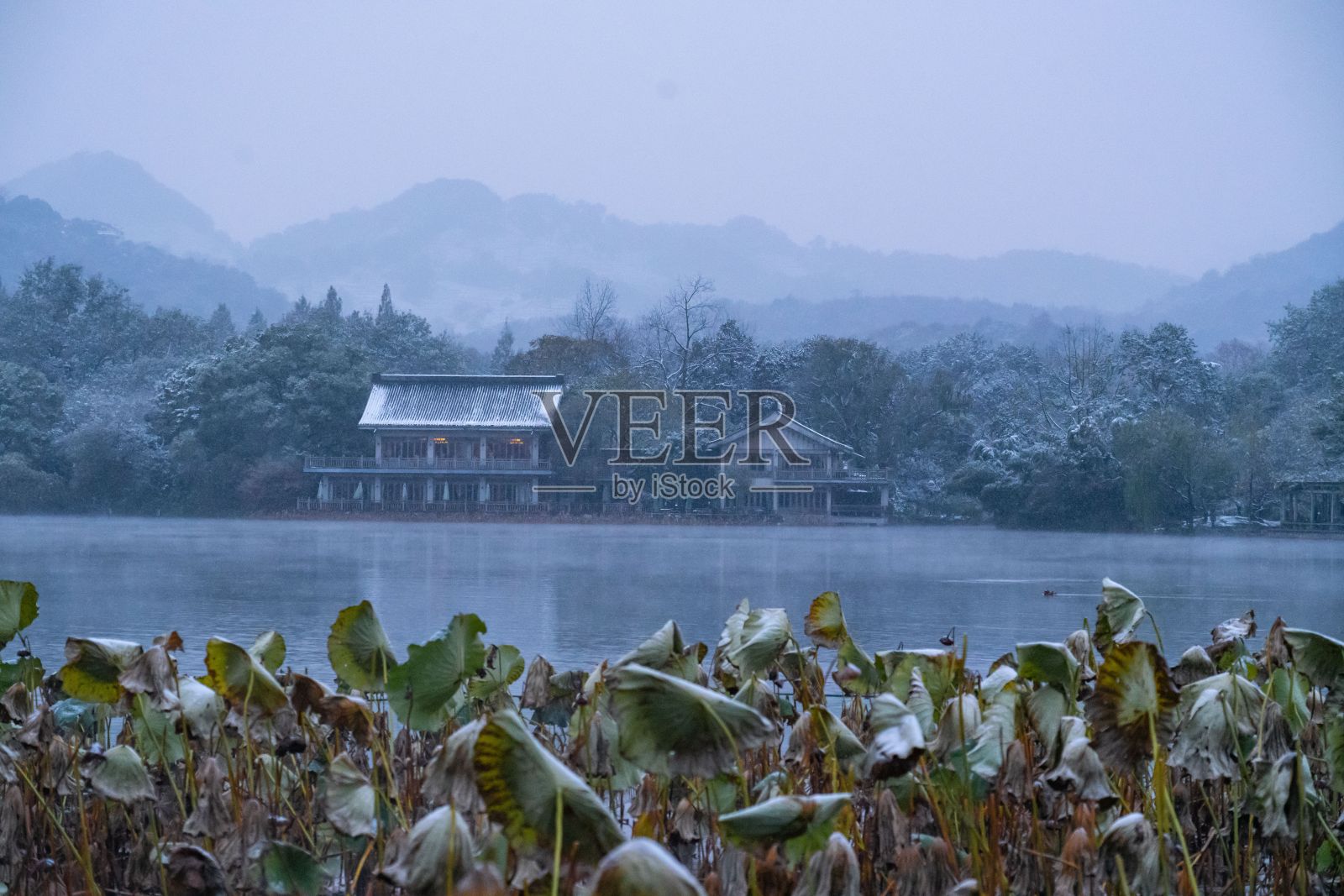 湖泊附近的房屋景观被雾和雪覆盖的绿色植物包围照片摄影图片