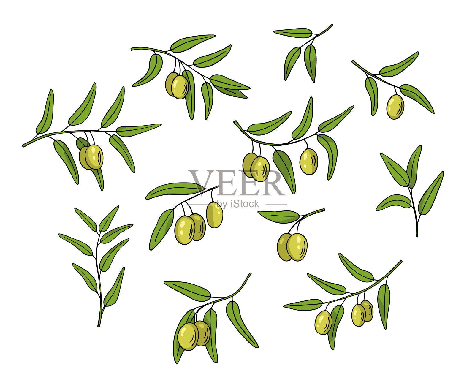 橄榄枝套装，手绘涂鸦素描。细枝与叶和果实轮廓。简约的设计。食物菜单或化妆品概念装饰。插画图片素材