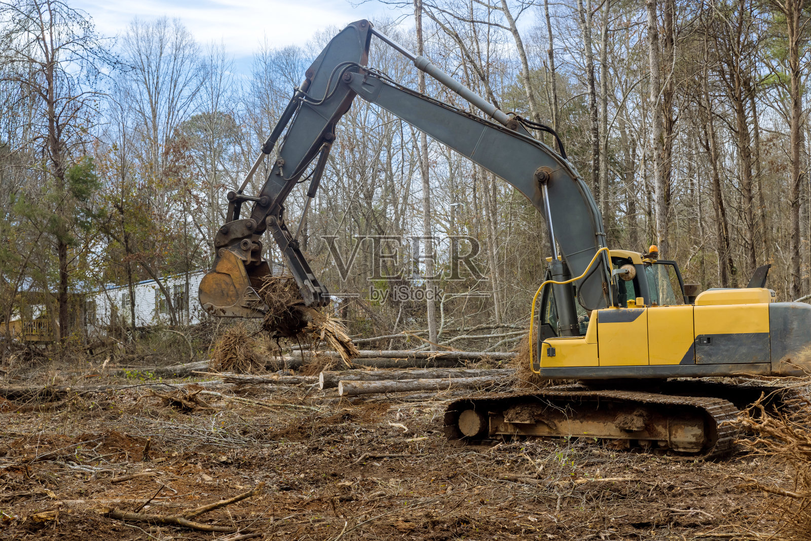 从被砍倒的树木上移除残根，为房屋建设腾出土地，是用拖拉机挖土机完成的。照片摄影图片