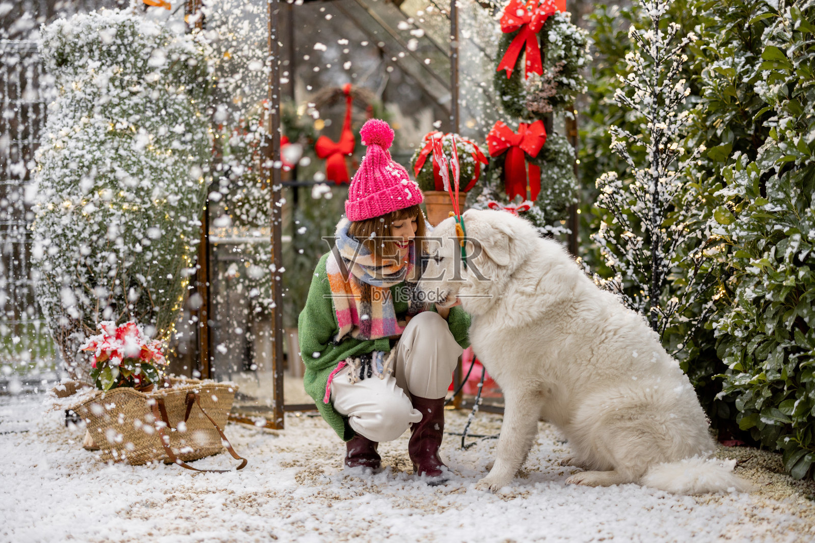 寒假期间，一名女子在后院和她的狗狗玩耍照片摄影图片