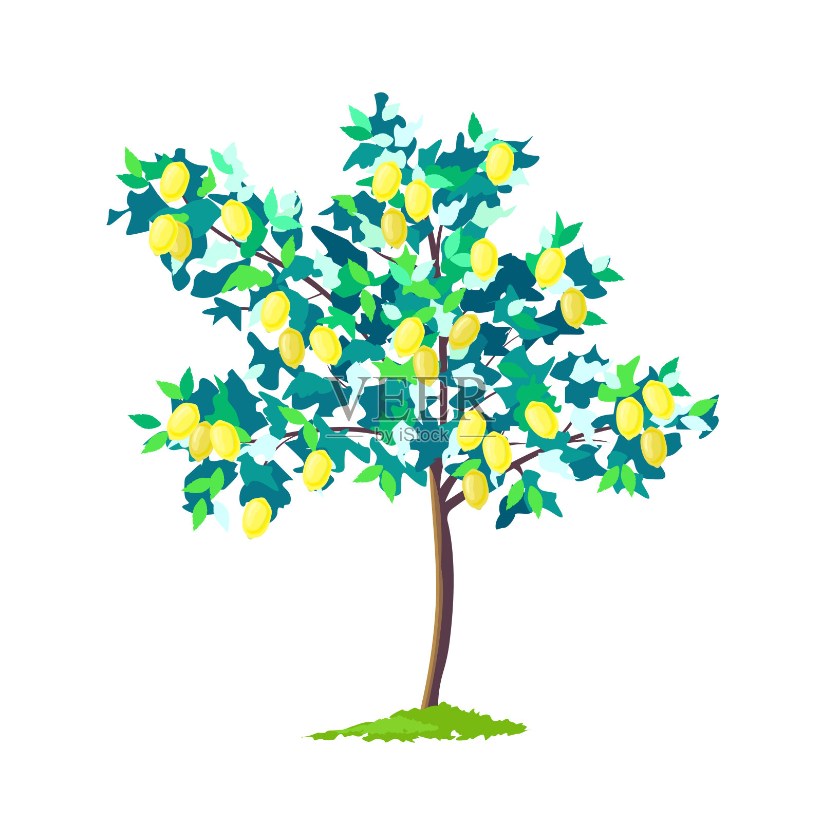柠檬树插画图片素材
