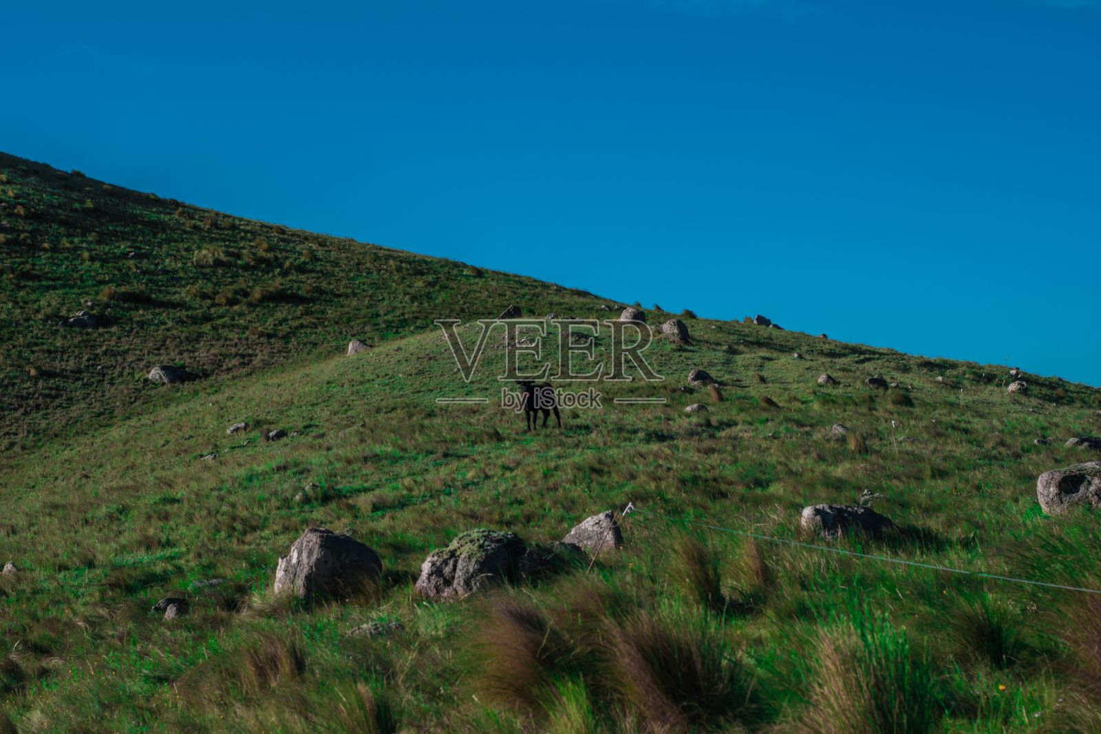 落基山脉的鸟瞰图照片摄影图片