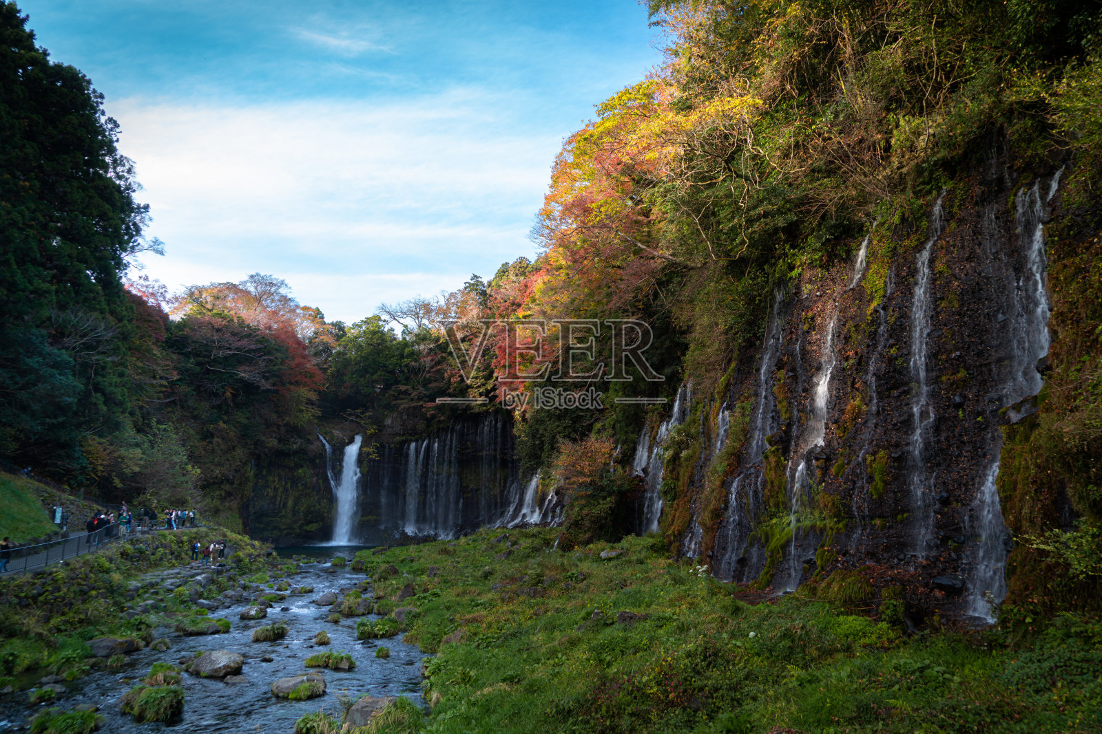 日本森林中的瀑布照片摄影图片