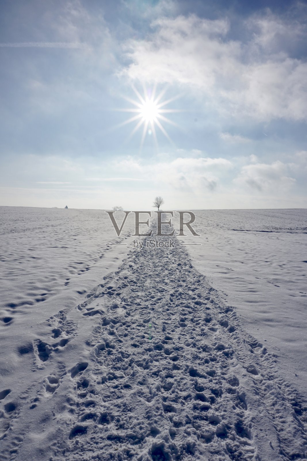 雪中的农田和一棵没有叶子的孤独树。明亮的蓝天，一棵光秃秃的树，地上有很多雪。底部是白色的，顶部是蓝色的。照片摄影图片