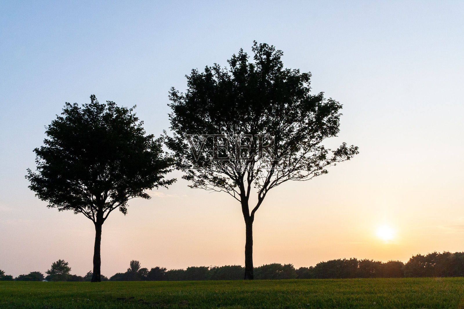 爱尔兰都柏林Eamonn ceant公园日落时绿色草坪上的剪影树照片摄影图片