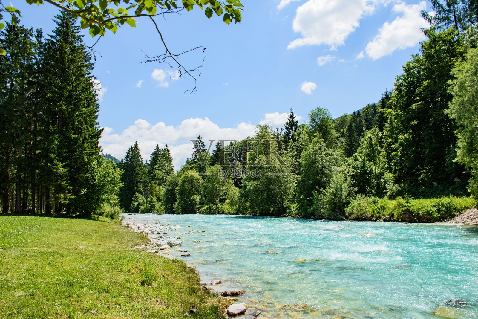 蔚蓝的河流在特里格拉夫国家公园的云杉之间流动的美丽镜头照片摄影图片
