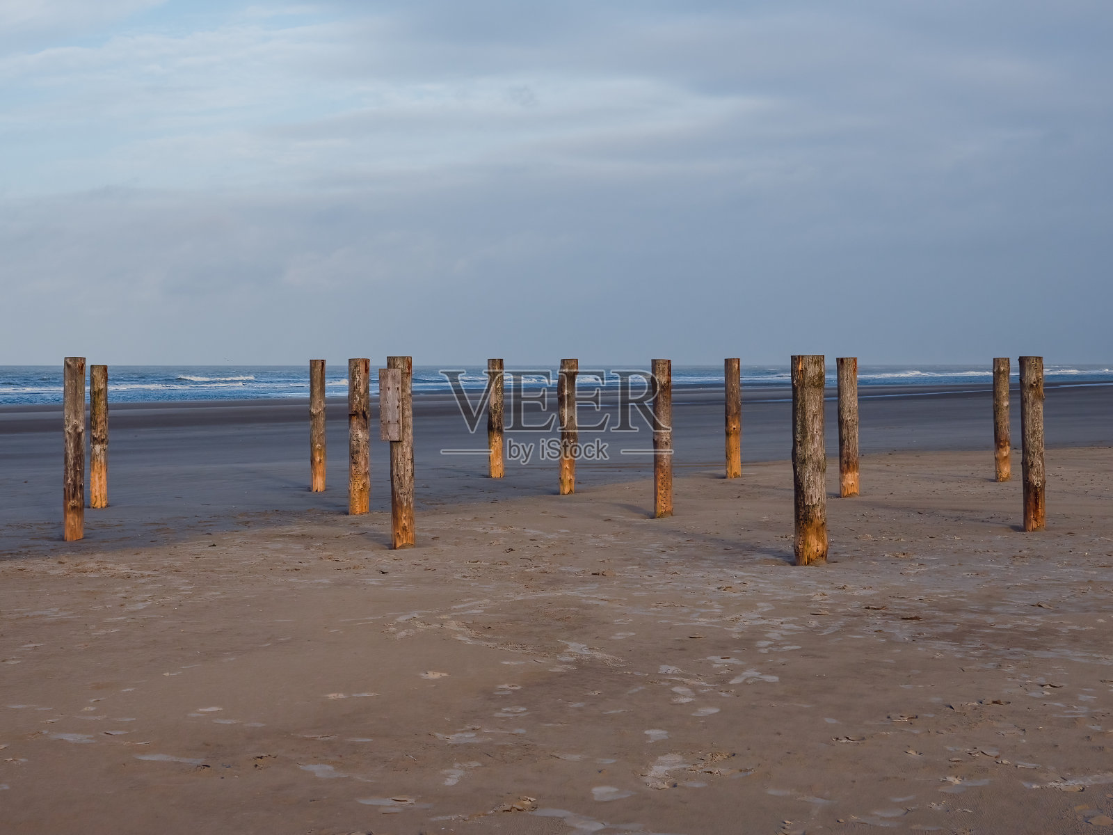 荷兰Schiermonnikoog海滩上的木杆照片摄影图片