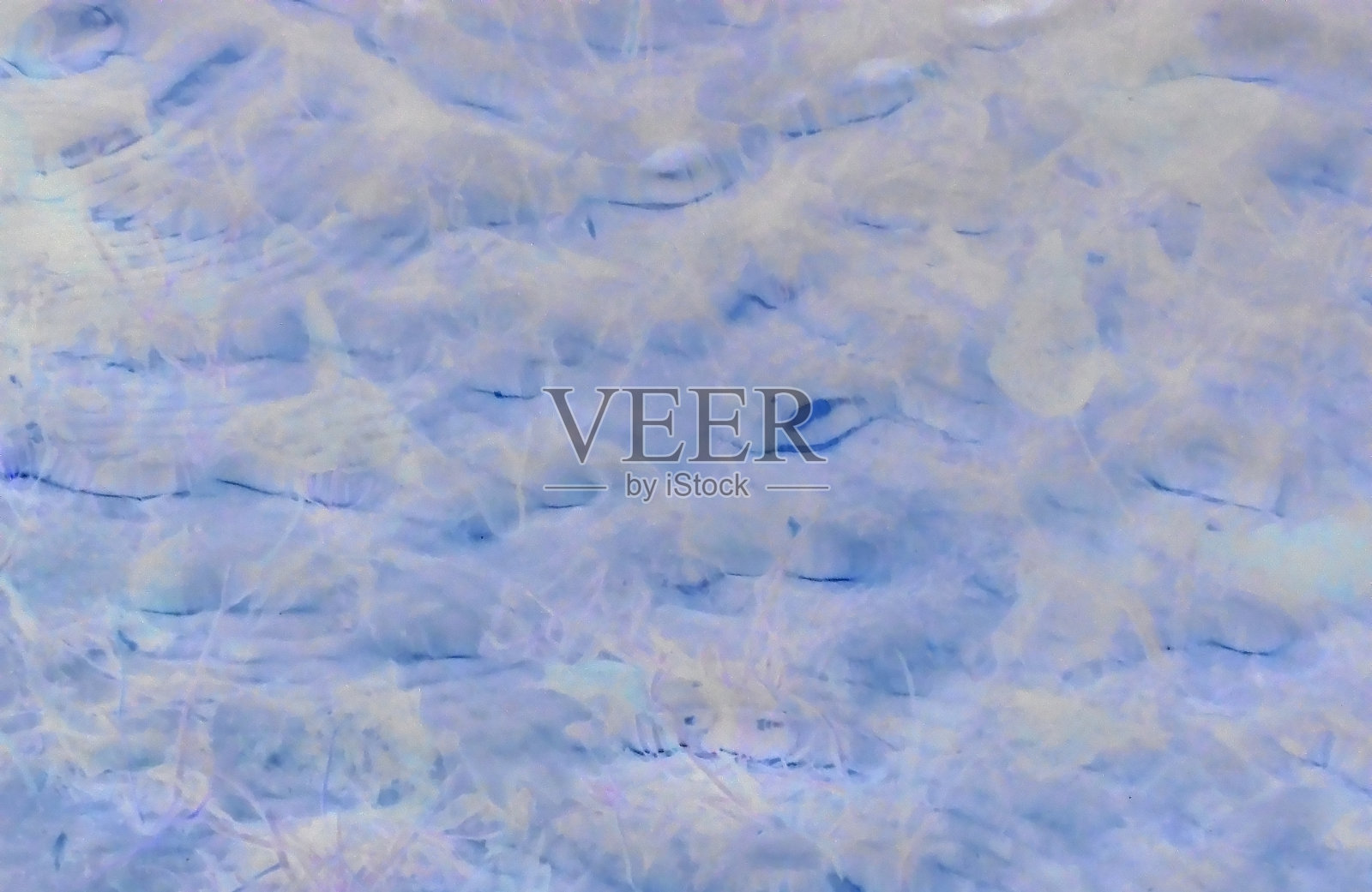 负图像-泥泞的池塘底部通过水可见，顶视图。照片摄影图片