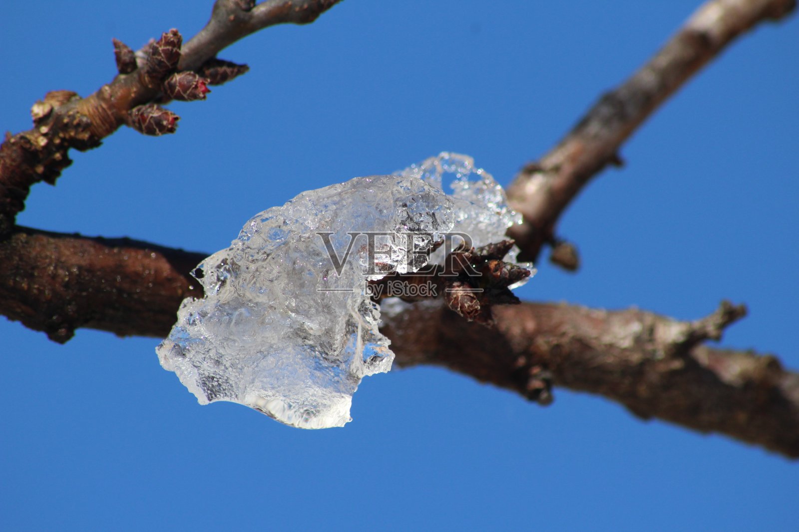 冰照片摄影图片