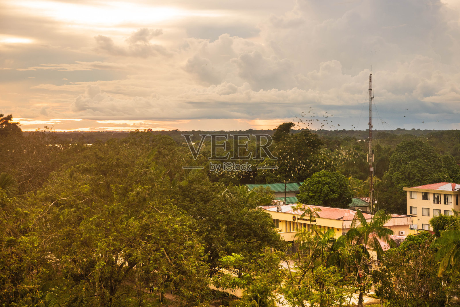 亚马逊市莱蒂西亚的日落。公园、丛林和亚马逊河照片摄影图片