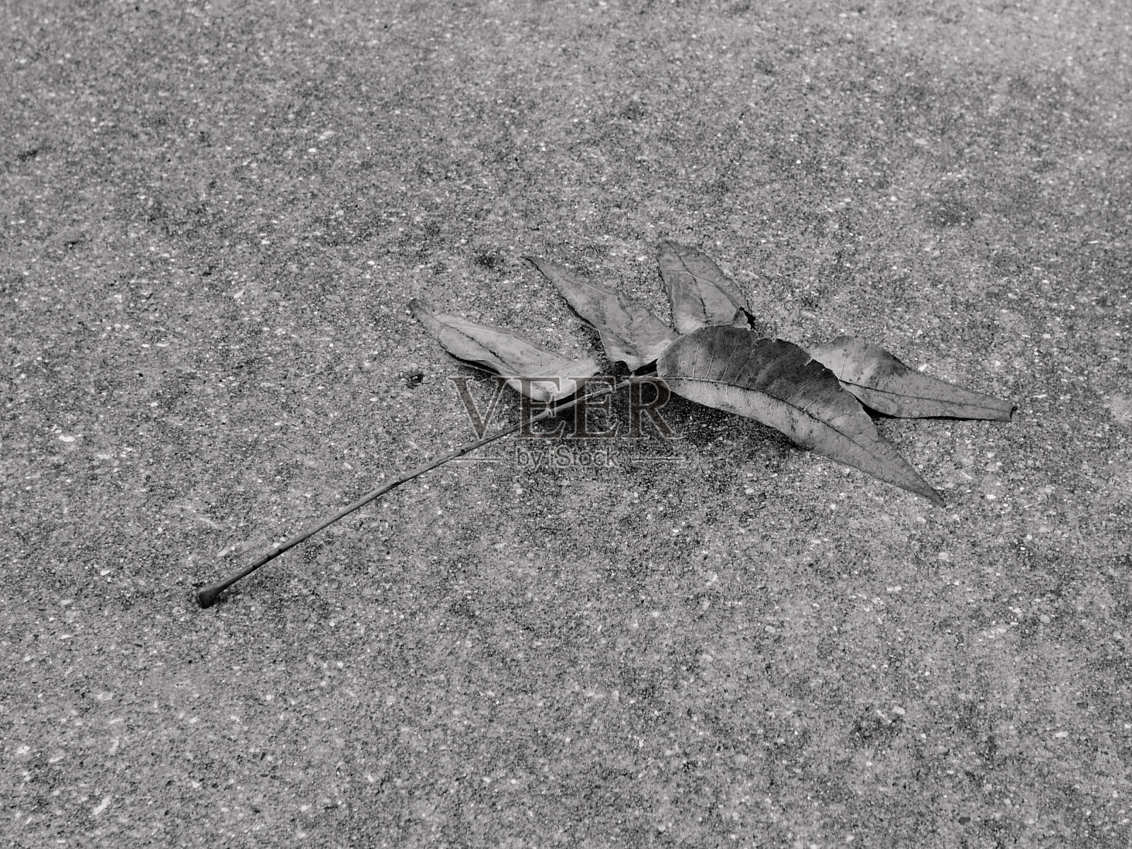 认为照片摄影图片