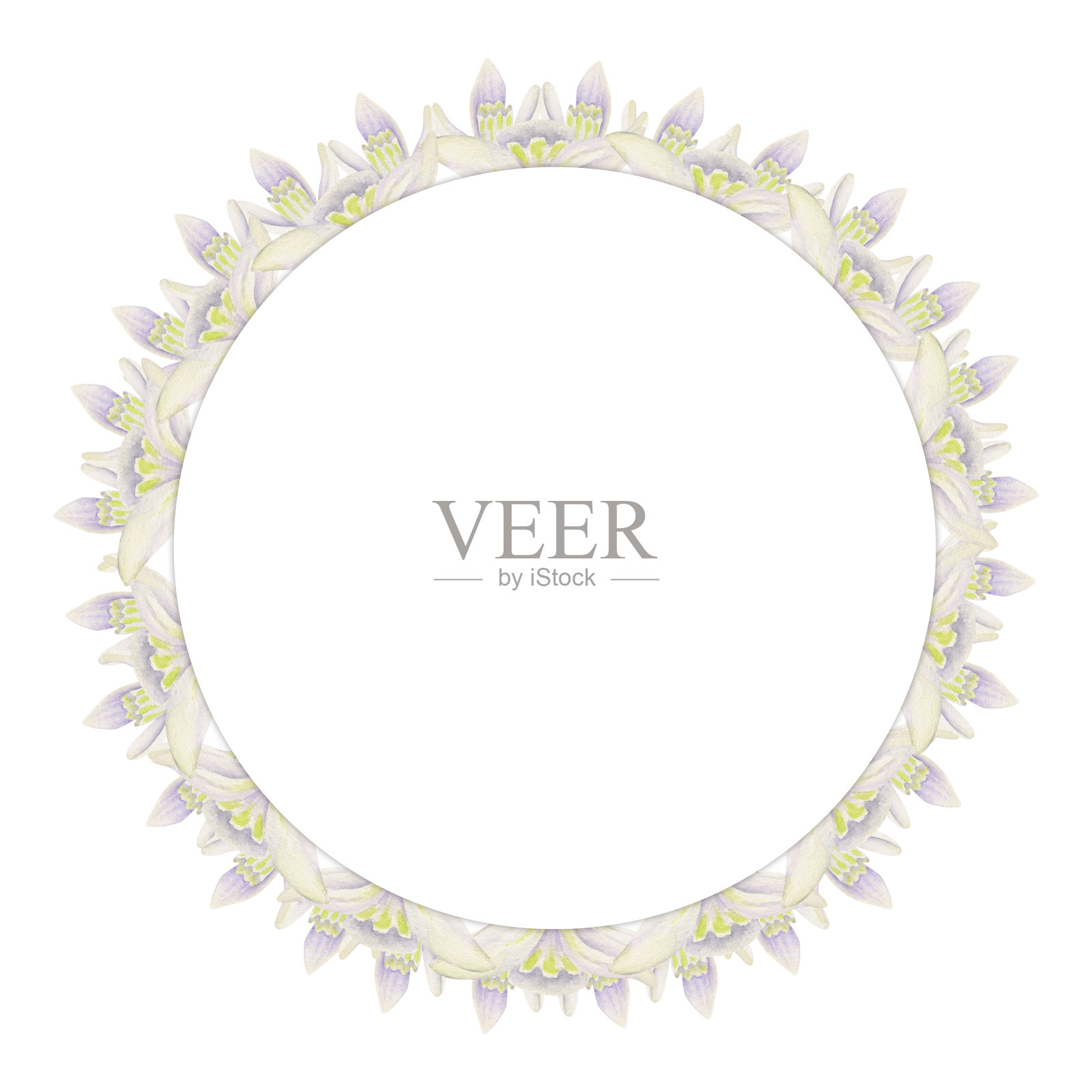 水彩手绘圈花环与春天的花朵，水仙花，番红花，雪花莲，叶子。孤立在白色背景上。设计邀请，婚礼，贺卡，壁纸，印刷，纺织品。插画图片素材