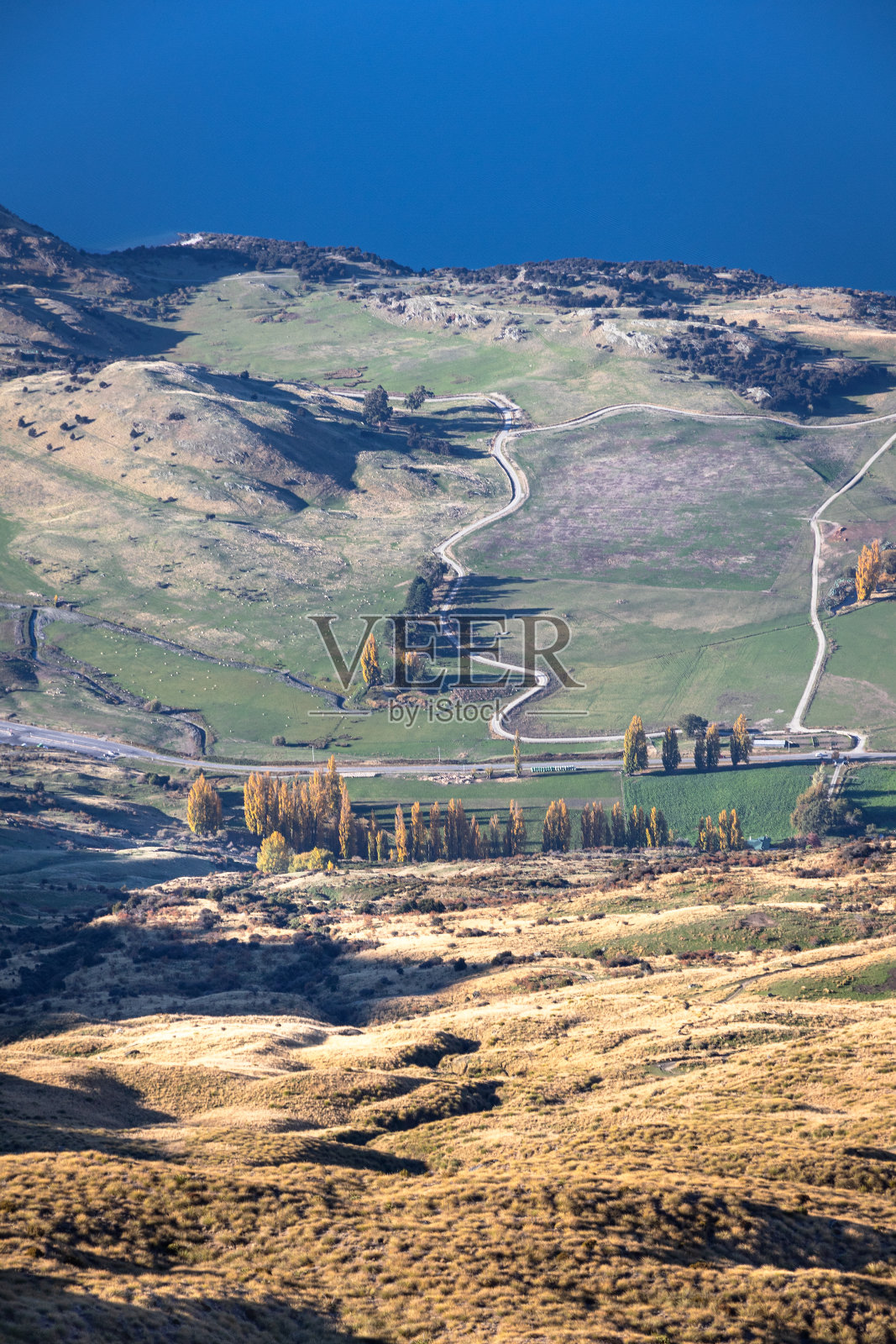 瓦纳卡湖和新西兰的牧场照片摄影图片