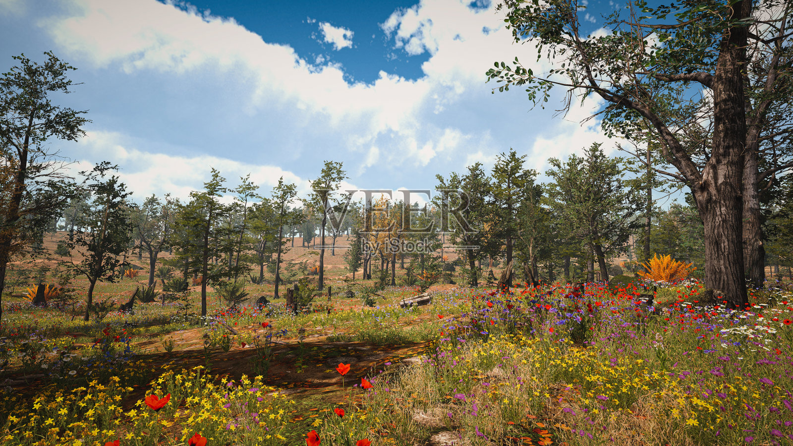 可持续发展目标、生物多样性、不断增长的经济和生态的图形资源。三维渲染照片摄影图片