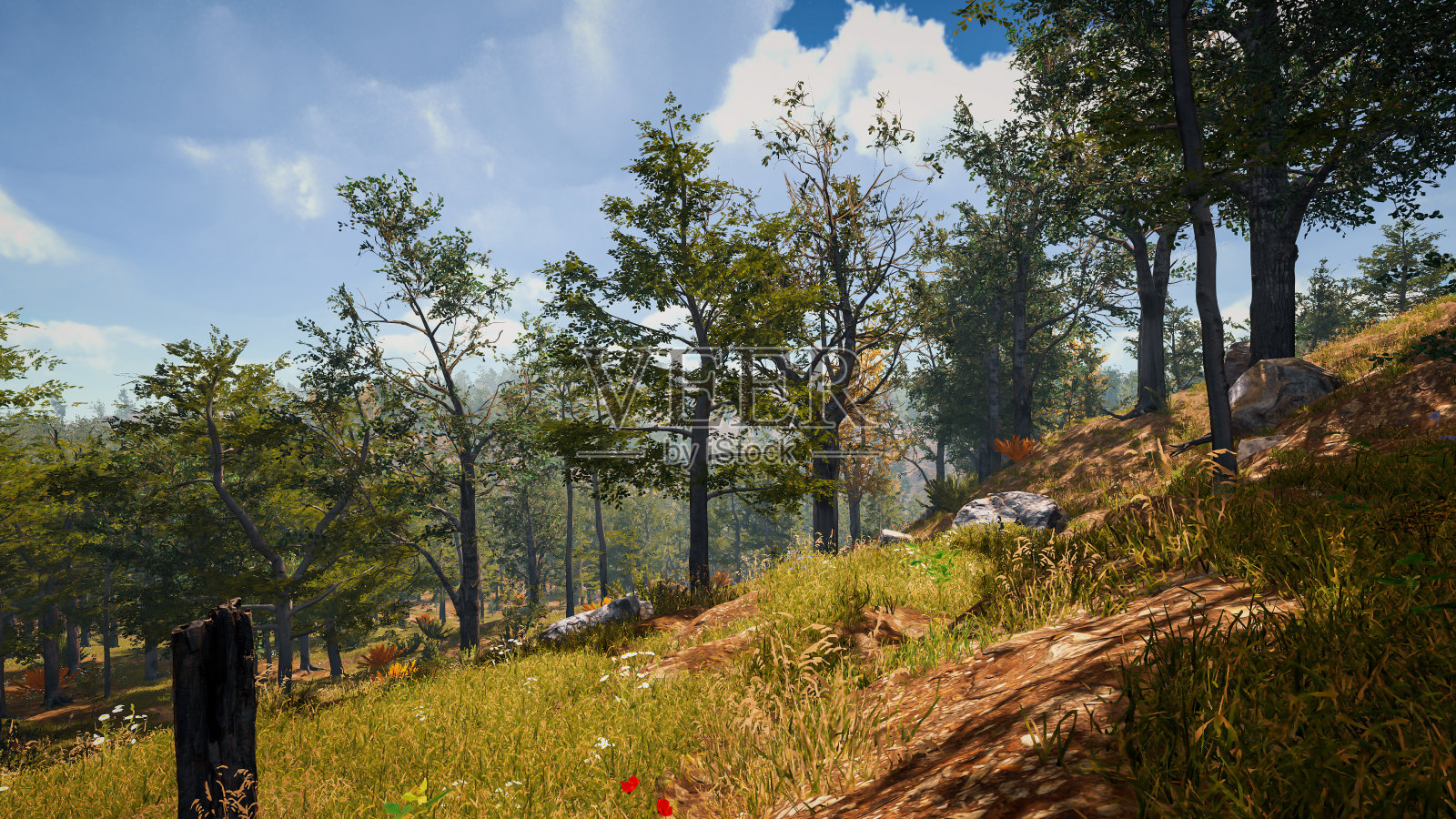 阐述景观可持续发展目标，保护生态系统。身临其境的自然环境3D渲染照片摄影图片