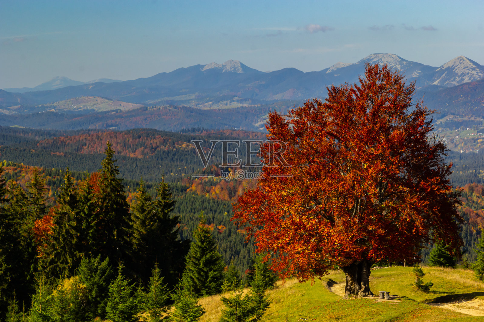 乌克兰喀尔巴阡山脉美丽的秋天乡村景观照片摄影图片