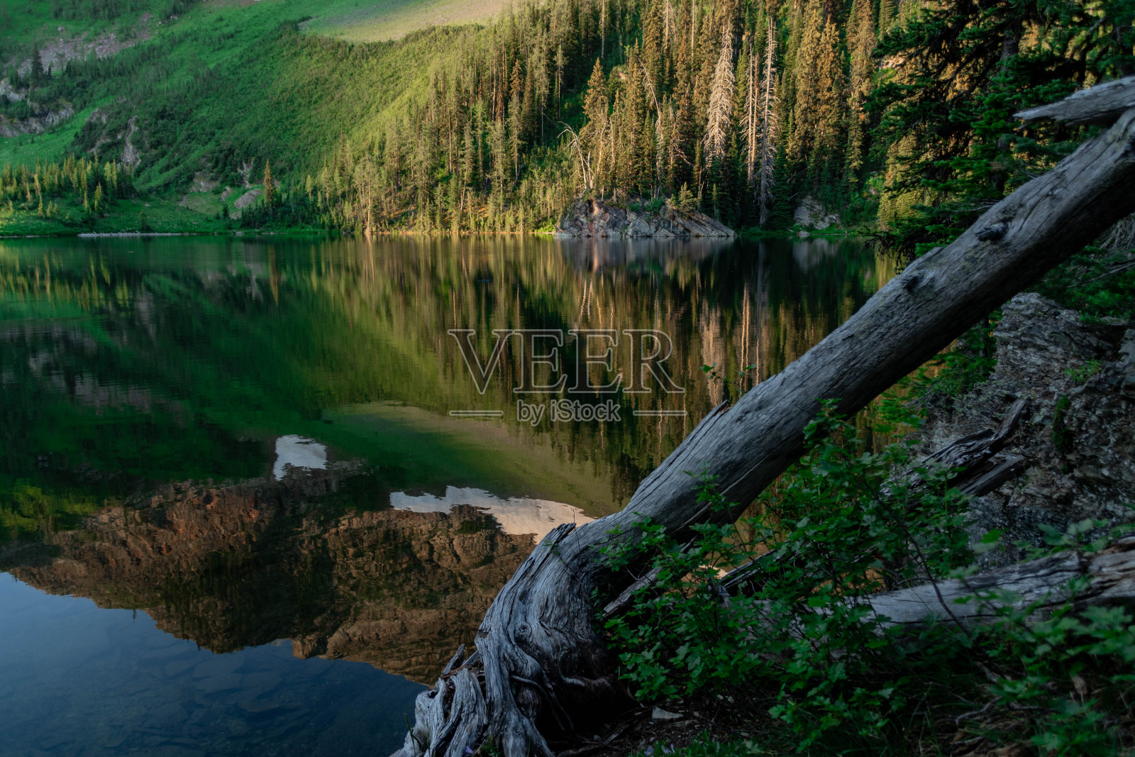 孤独湖沃特顿国家公园的反思和细节照片摄影图片