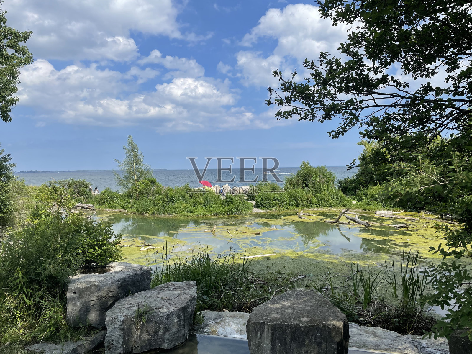 安大略多伦多的湖景照片摄影图片