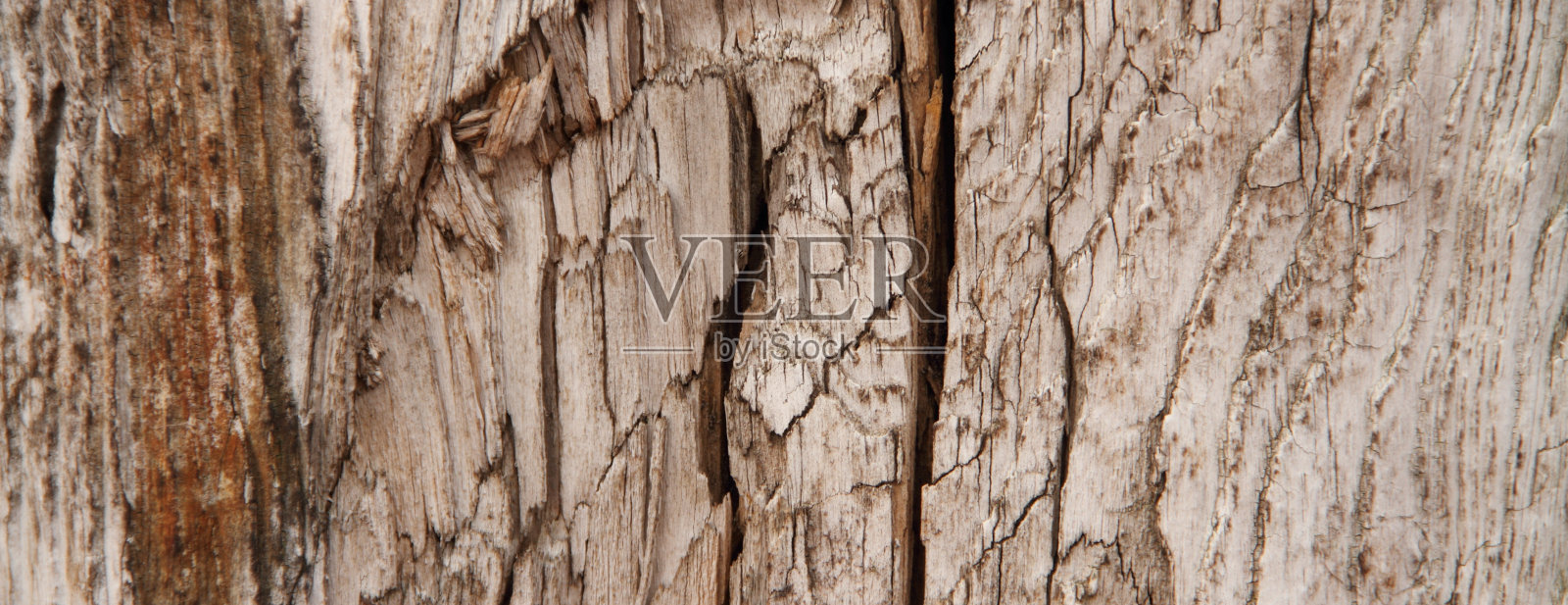 橡木板作为背景照片摄影图片