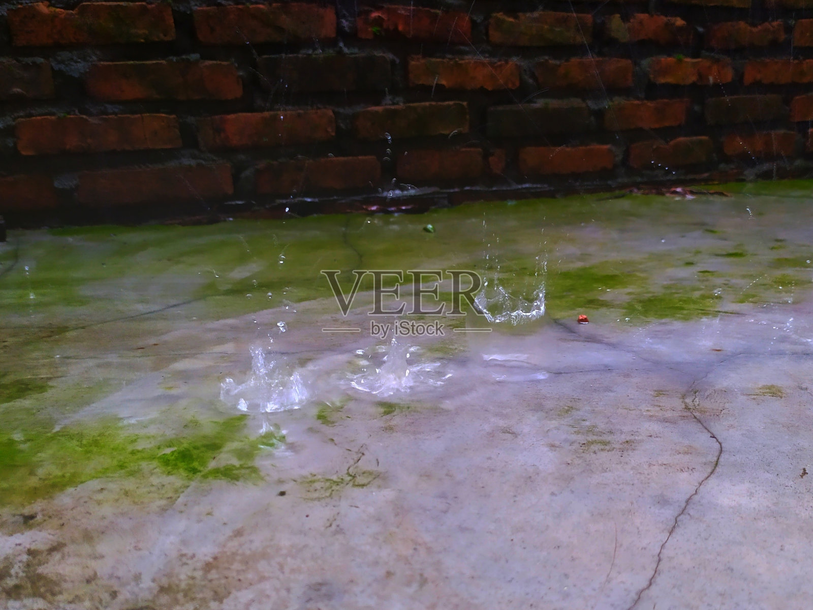 美丽的雨照片摄影图片