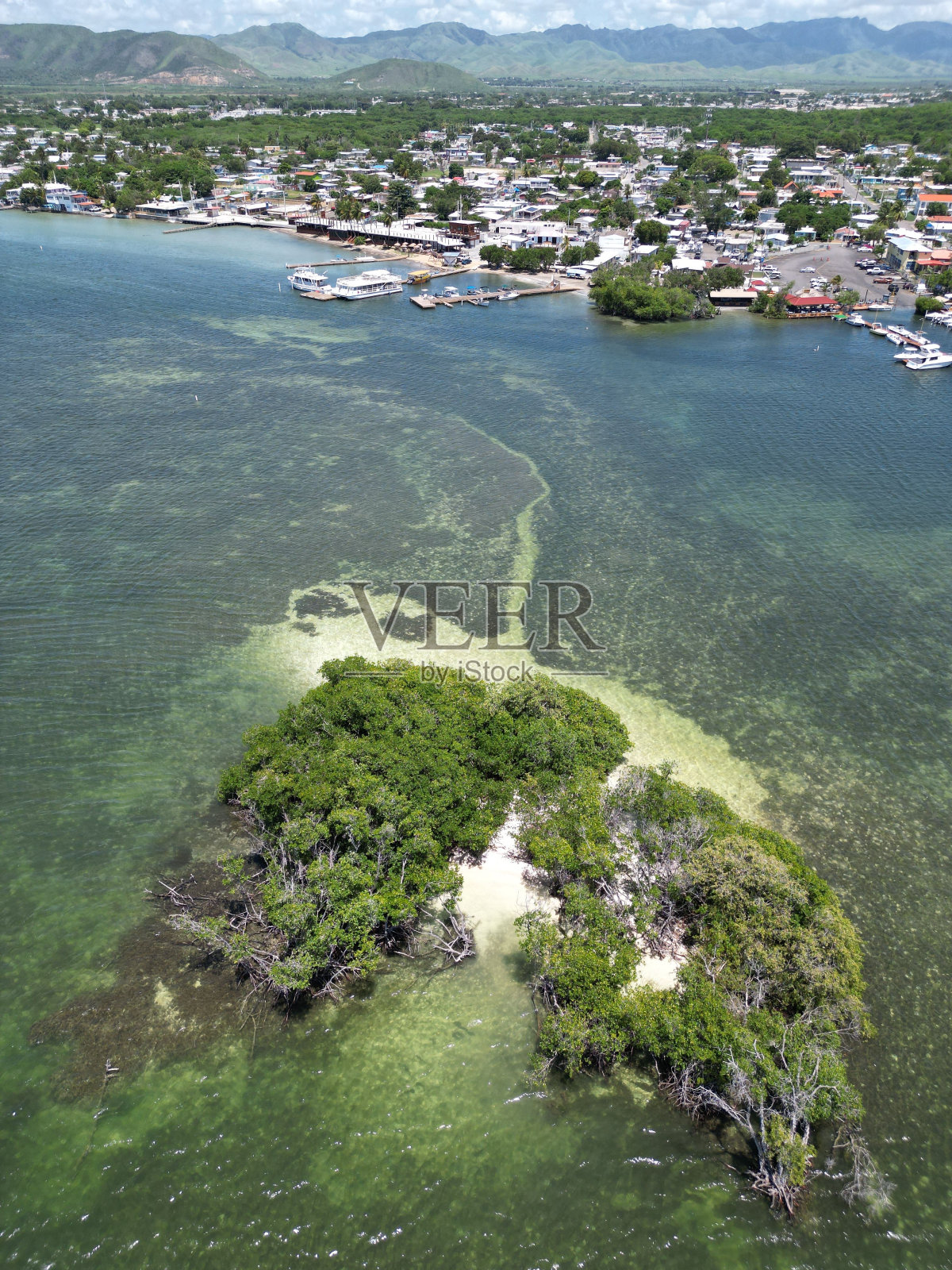 空中拍摄的郁郁葱葱的树木在水中与建筑物照片摄影图片