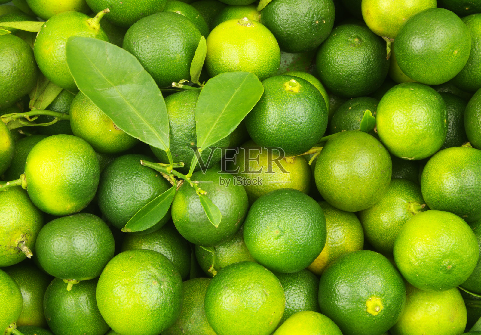 新鲜的酸橙背景照片摄影图片