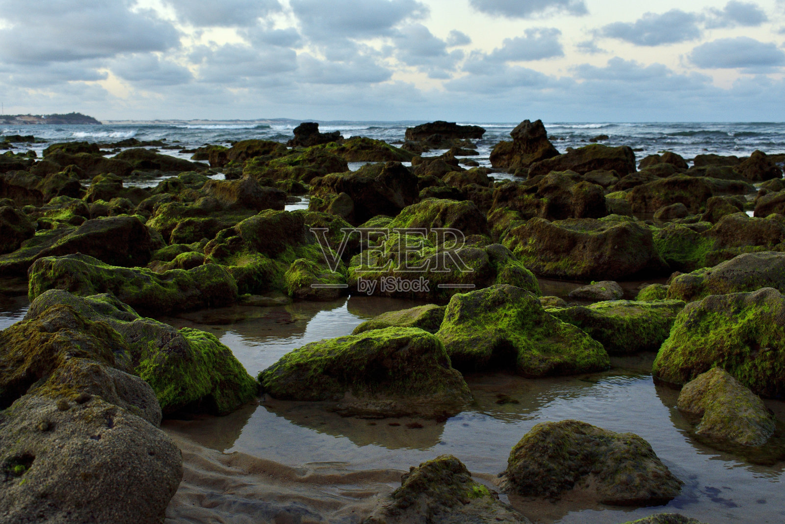 巴西的海滩岩石和藻类照片摄影图片
