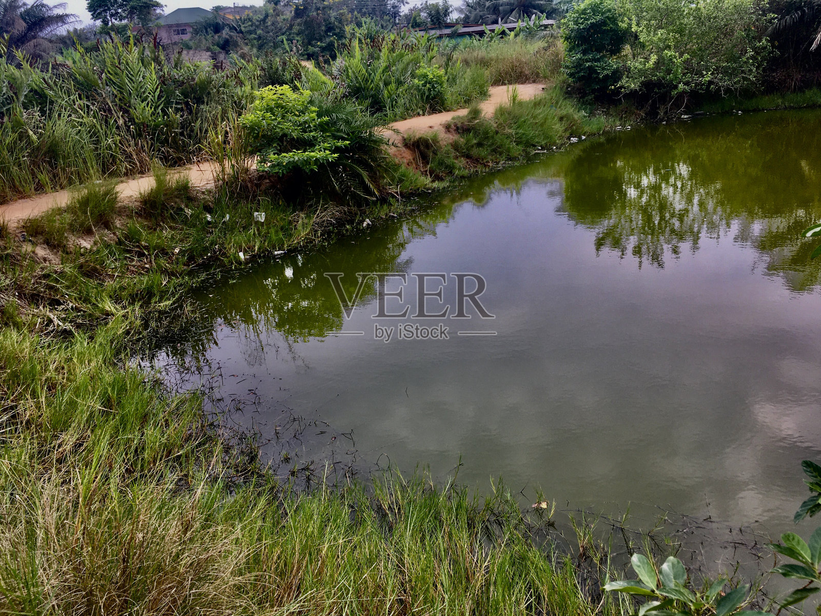 兴奋的绿色照片摄影图片