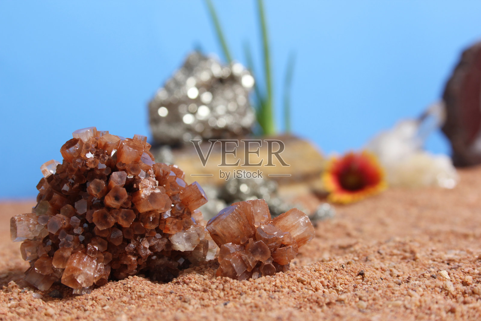 文石水晶与芦荟植物在澳大利亚红沙照片摄影图片