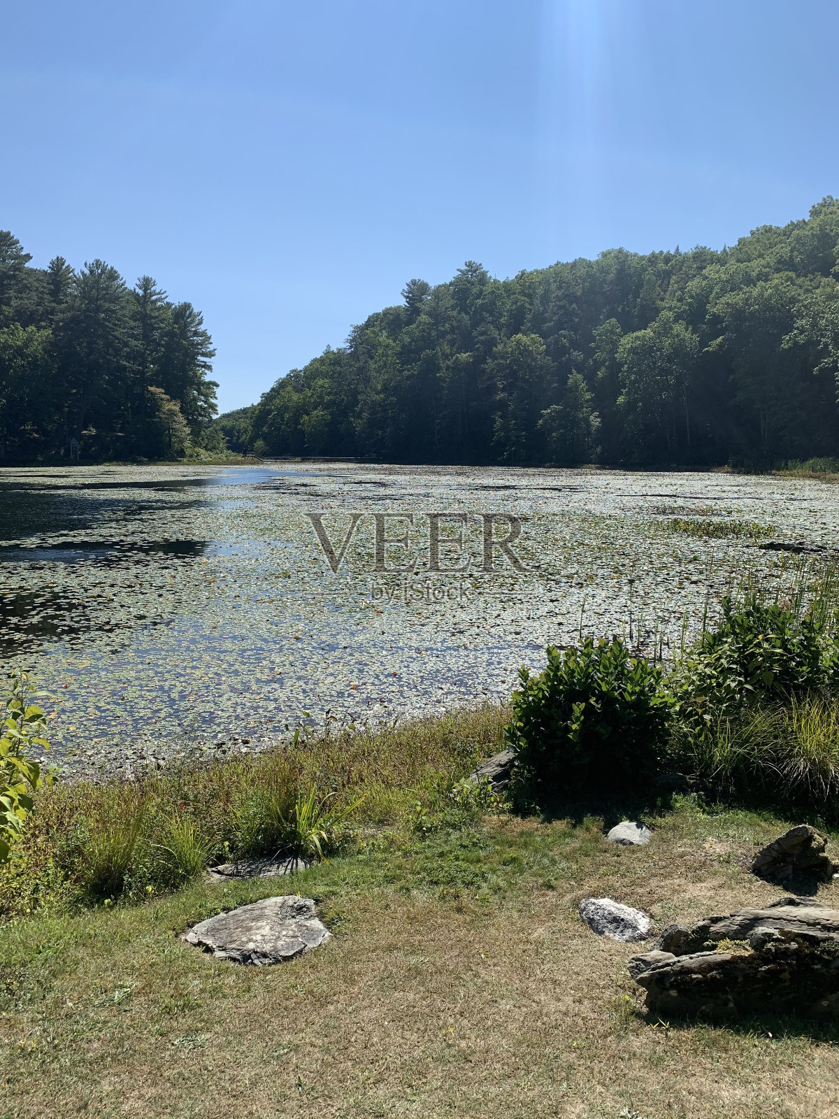 很酷的氛围照片摄影图片
