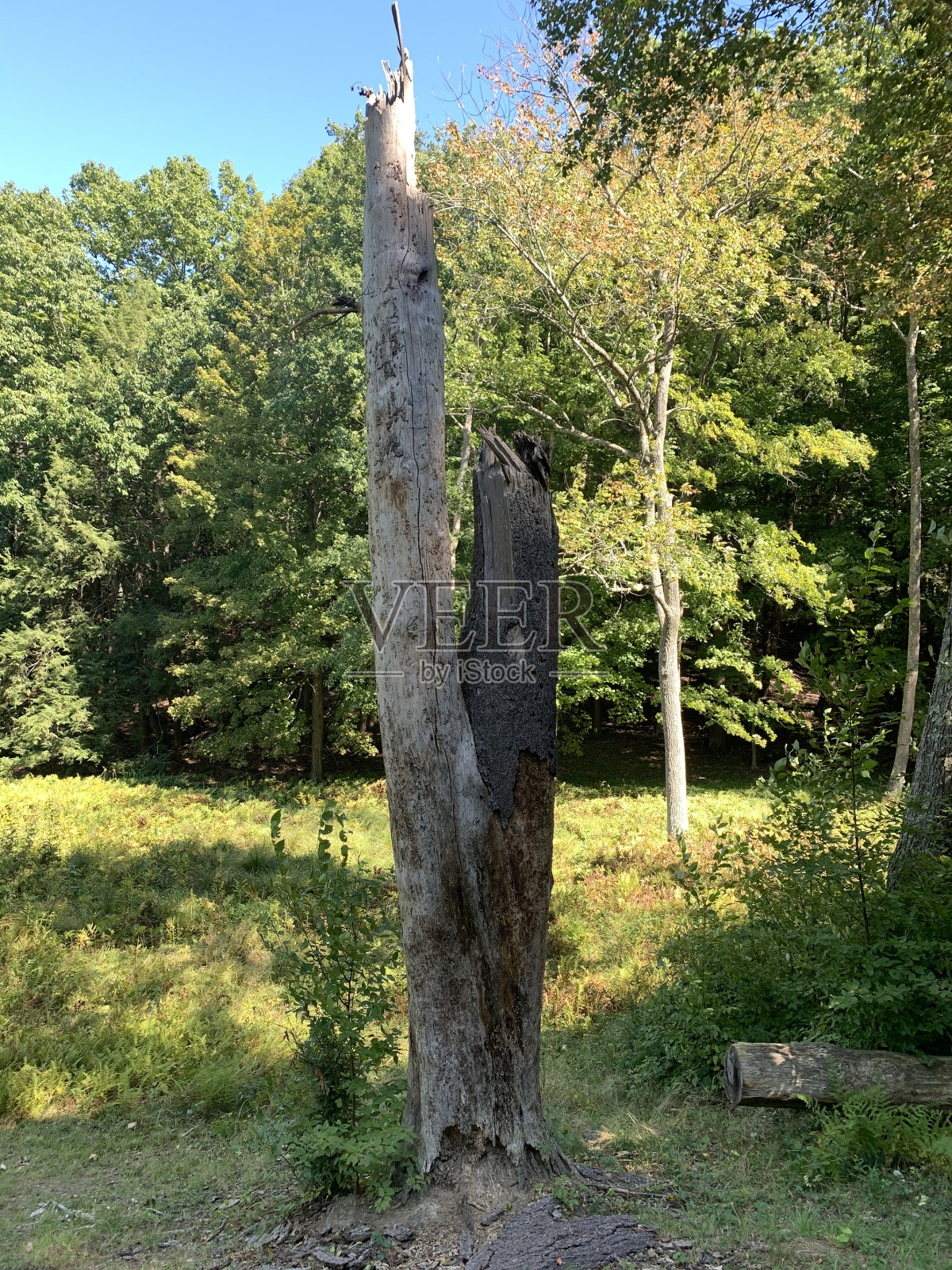 很酷的氛围照片摄影图片