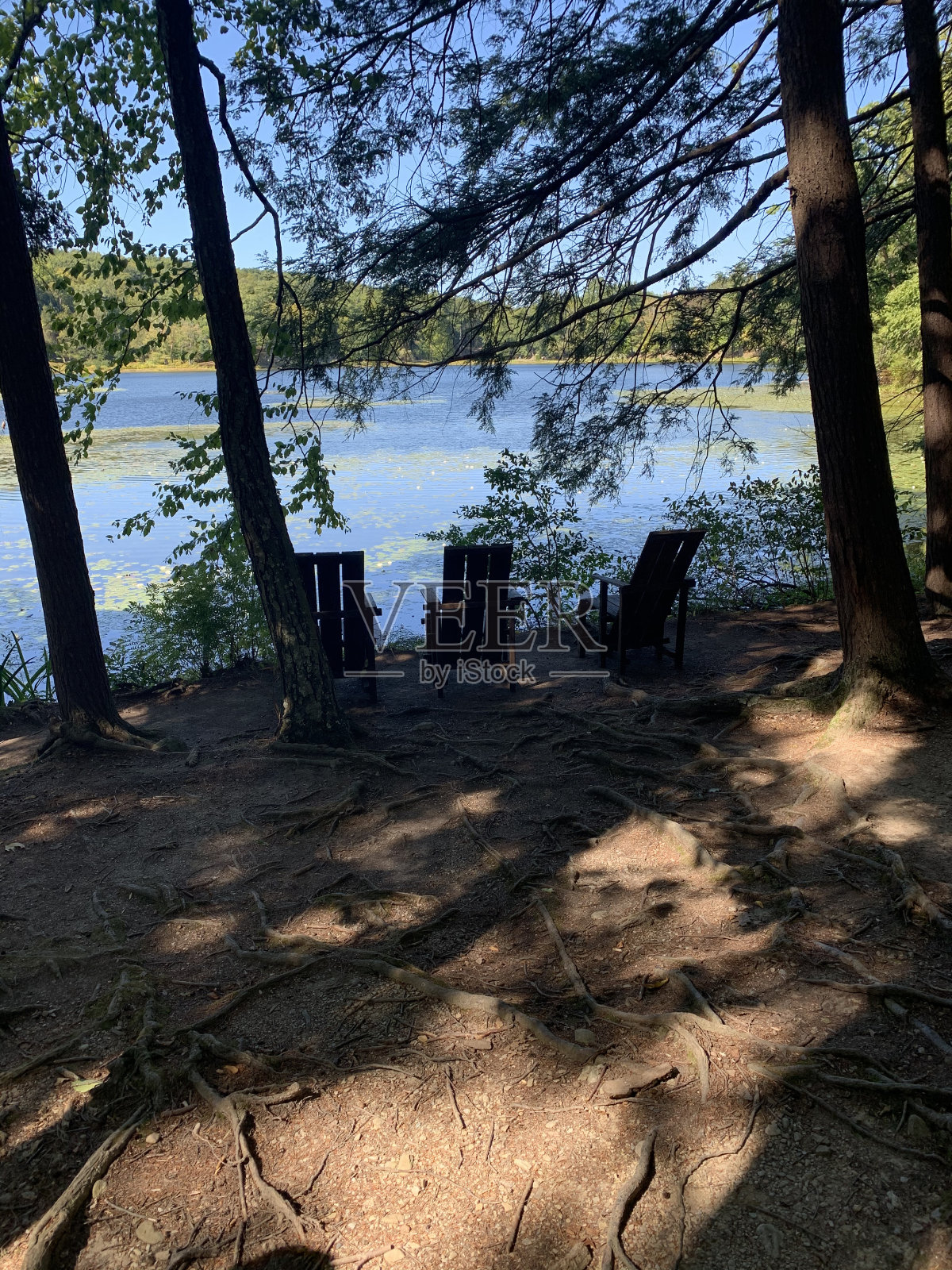 大自然的美丽照片摄影图片