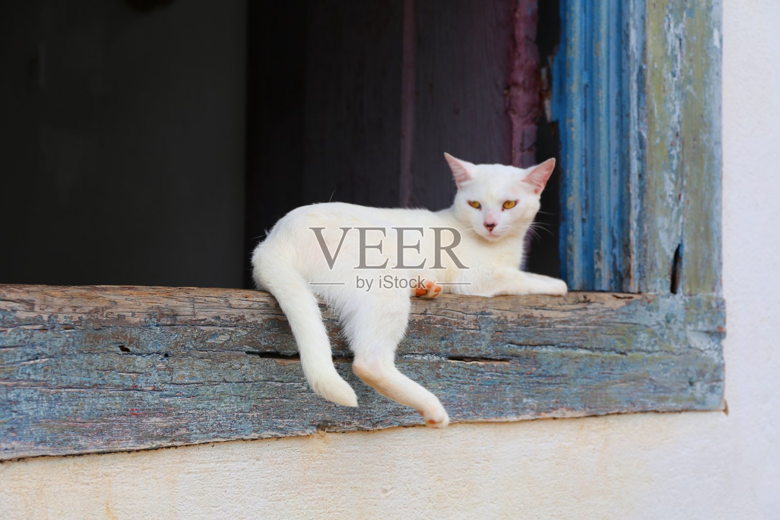 巴西米纳斯吉拉斯州历史悠久的殖民小镇提拉丹特斯照片摄影图片