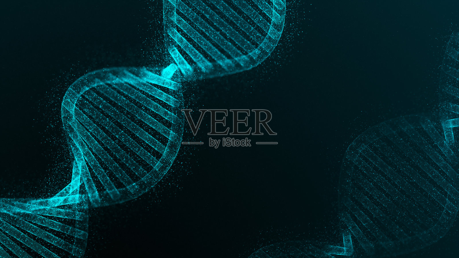 太太照片摄影图片