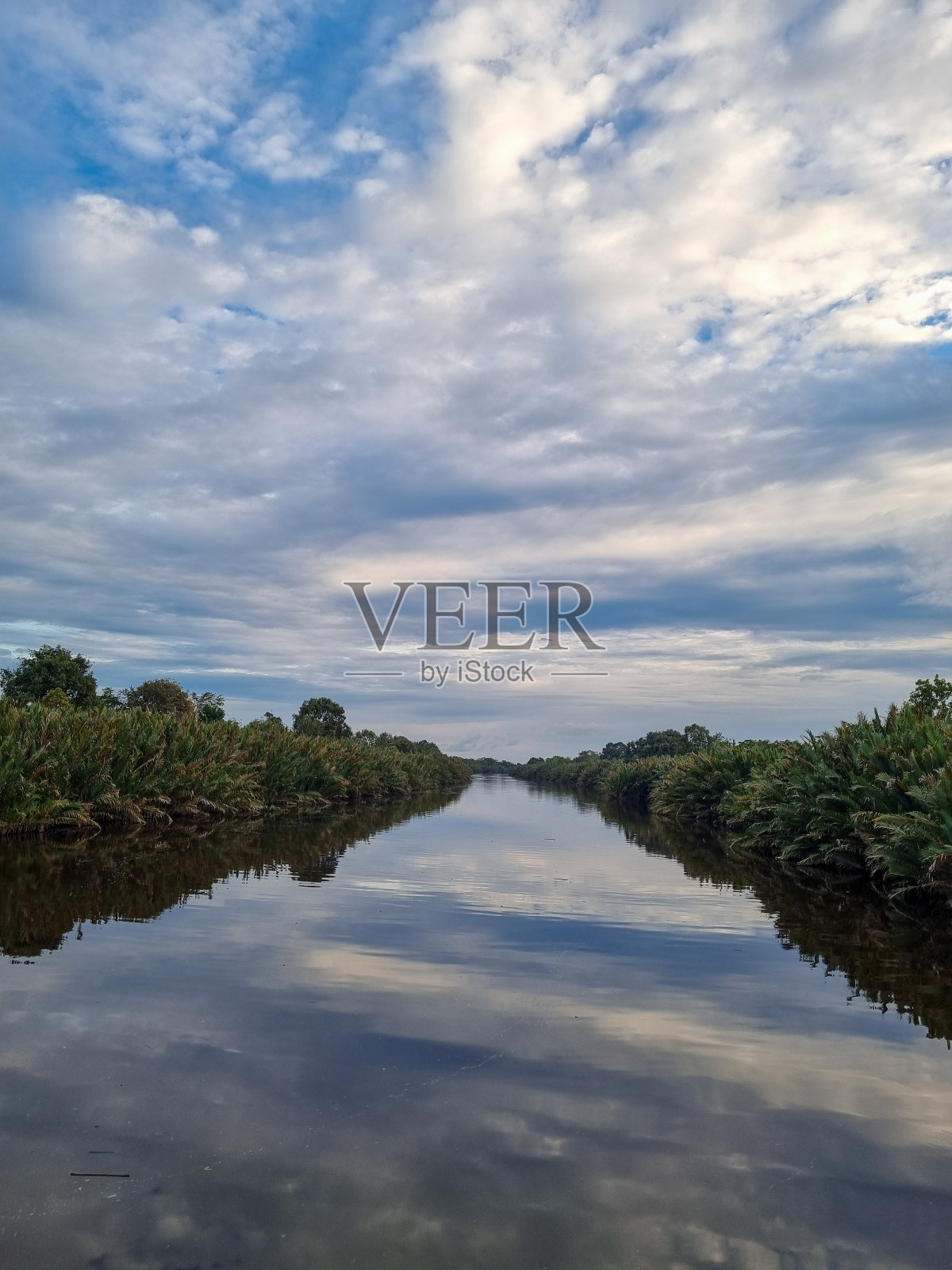 印度尼西亚西婆罗洲雨林的Kapuas河照片摄影图片