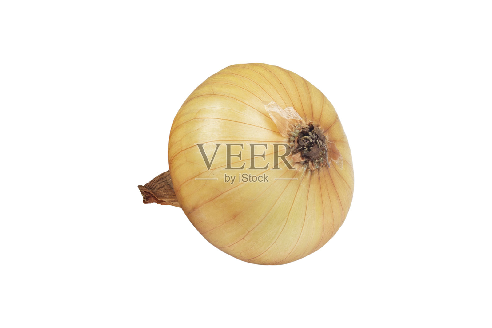 洋葱，洋葱从背景中分离出来照片摄影图片