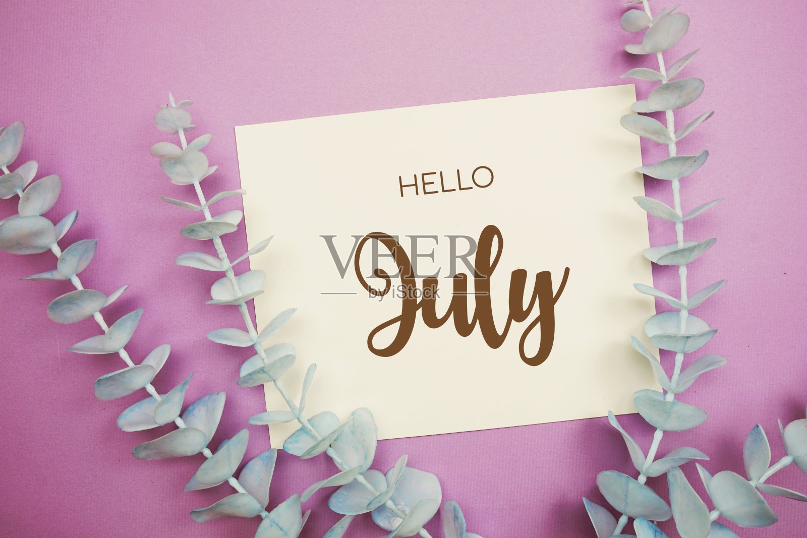 你好七月印刷文字在纸卡片上装饰桉树在紫色的背景照片摄影图片
