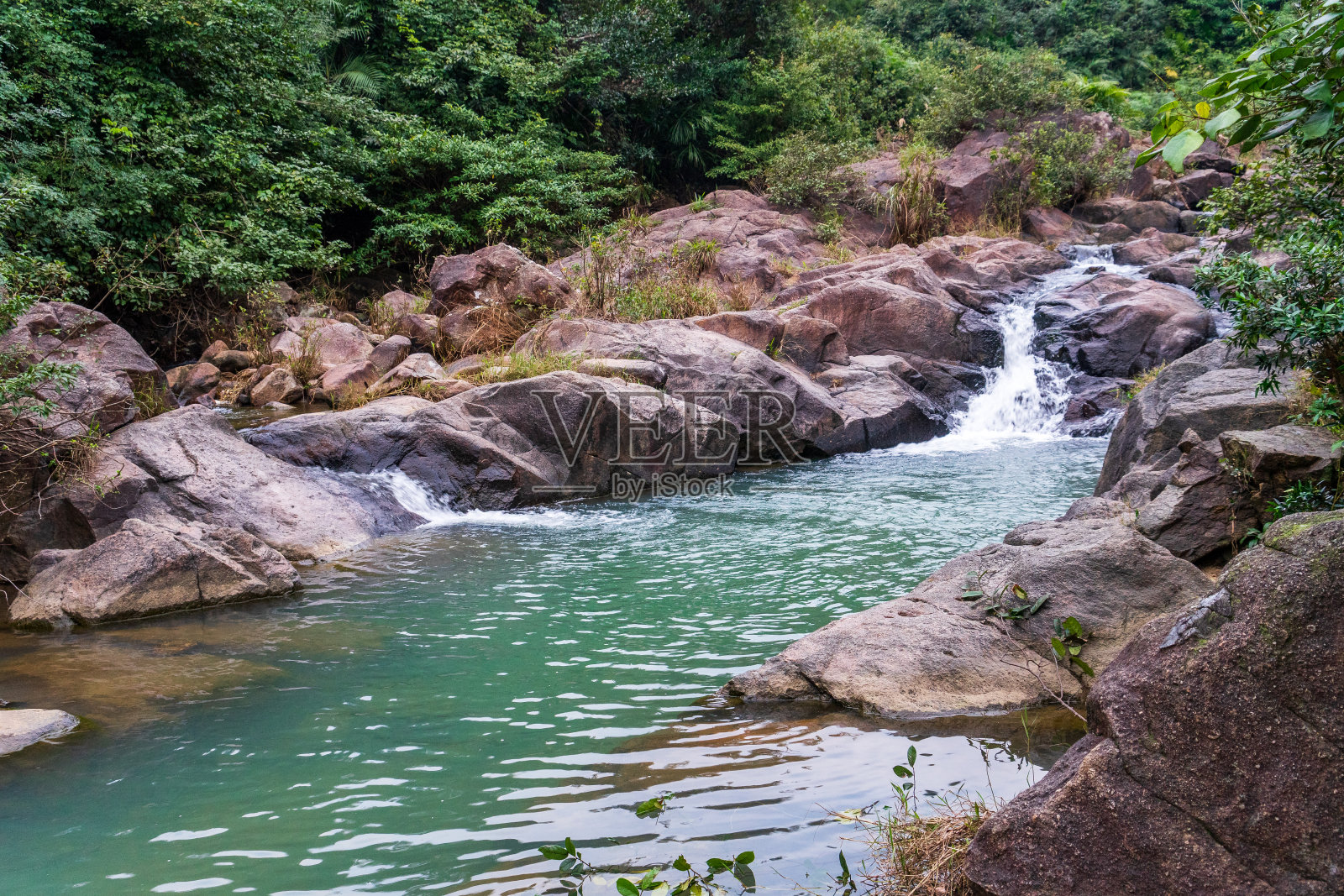 其夫人照片摄影图片