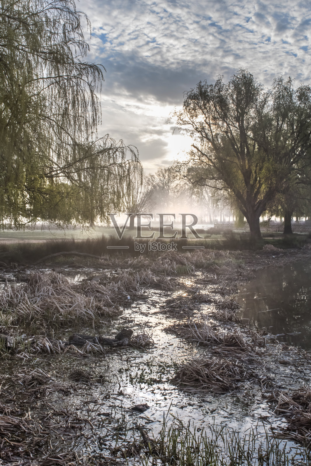日出时云的形成照片摄影图片