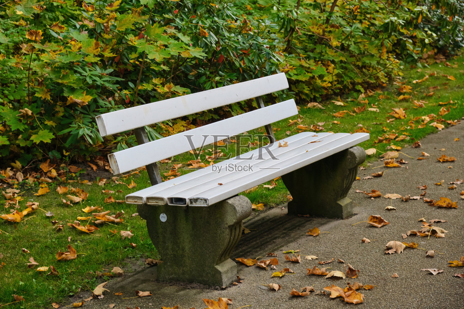 没有人孤独的长椅在城市公园在秋叶小巷小路上照片摄影图片