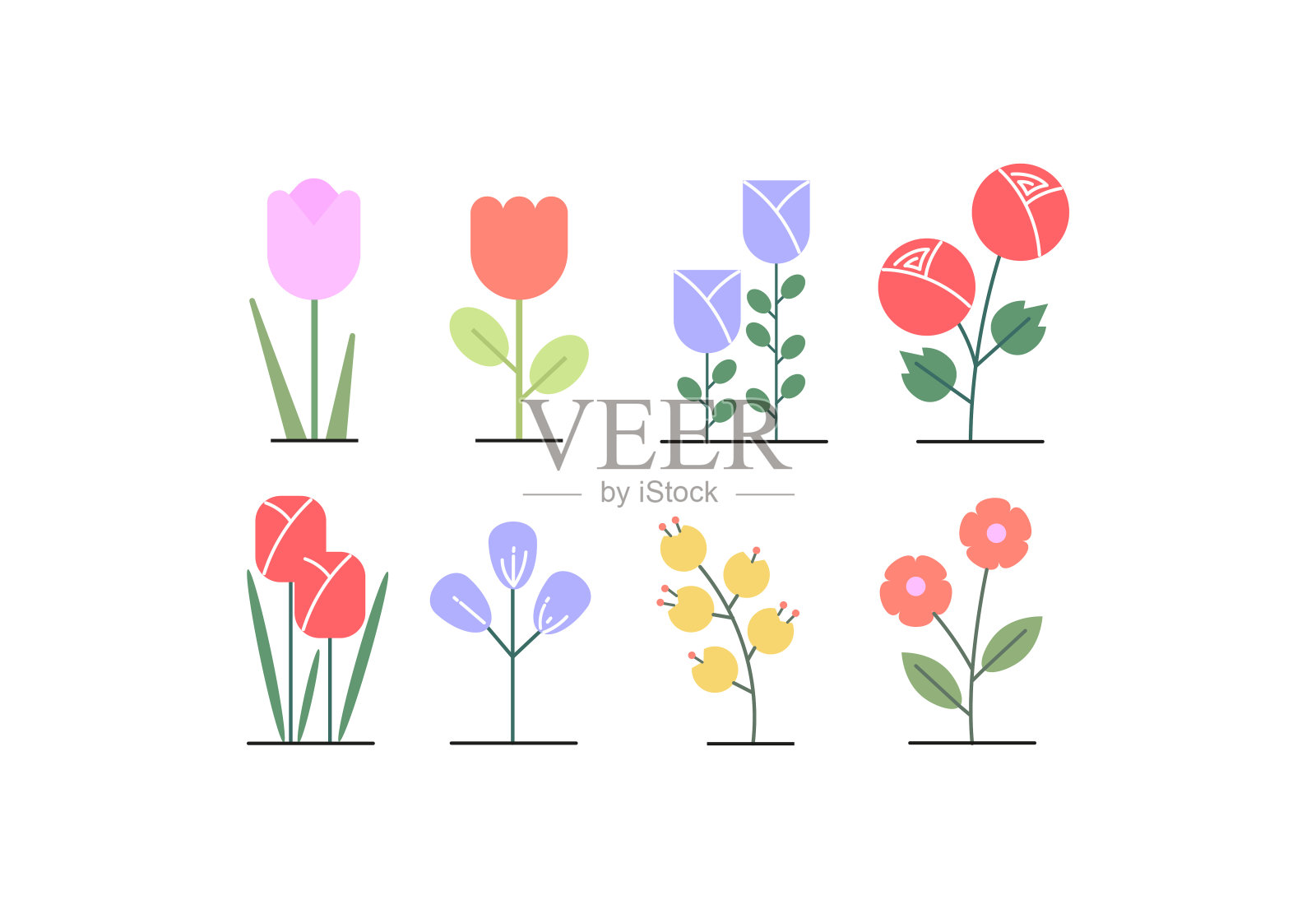 白色背景下的花朵特写镜头插画图片素材