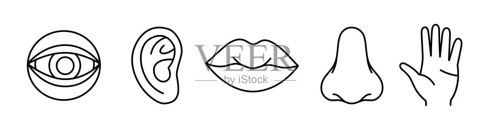 人类五种感官的集合。视觉，嗅觉，听觉，触觉，味觉图标。人类五感符号。眼睛，鼻子，耳朵，手，嘴巴图标集插画图片素材