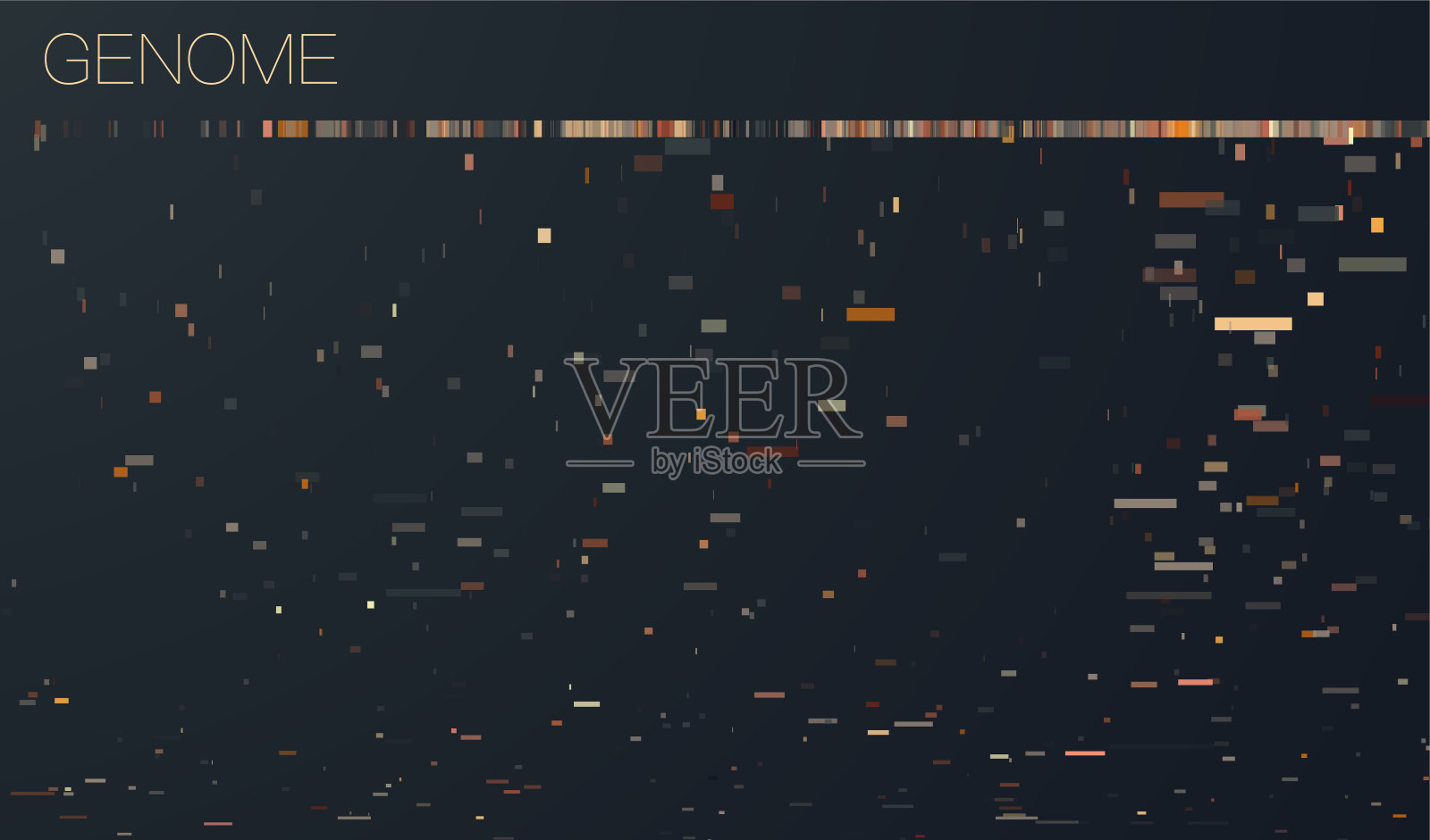 DNA基因组检测，基因组图谱。插画图片素材