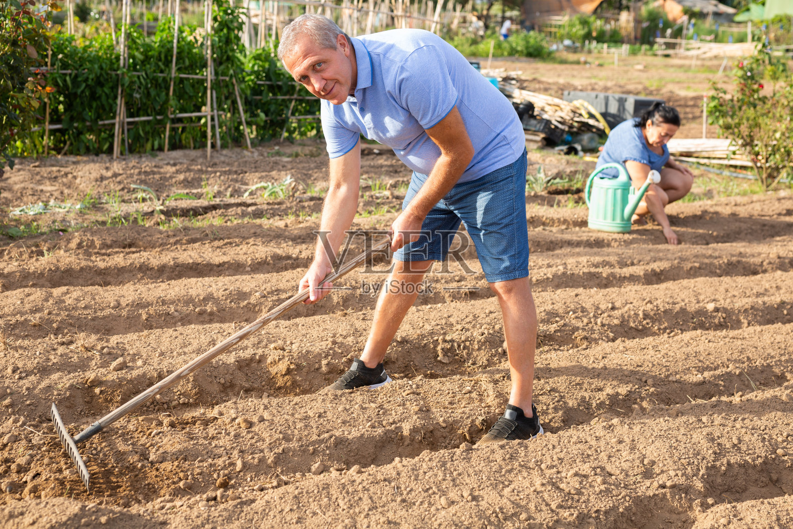 成熟的男人在花园里种地照片摄影图片