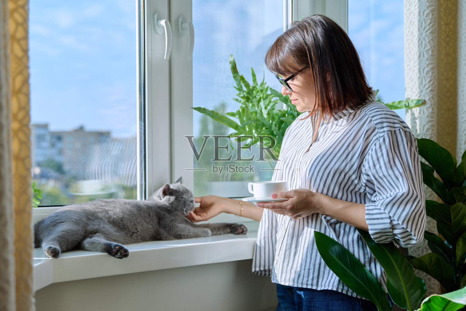 中年妇女拿着咖啡和宠物，看着窗外照片摄影图片