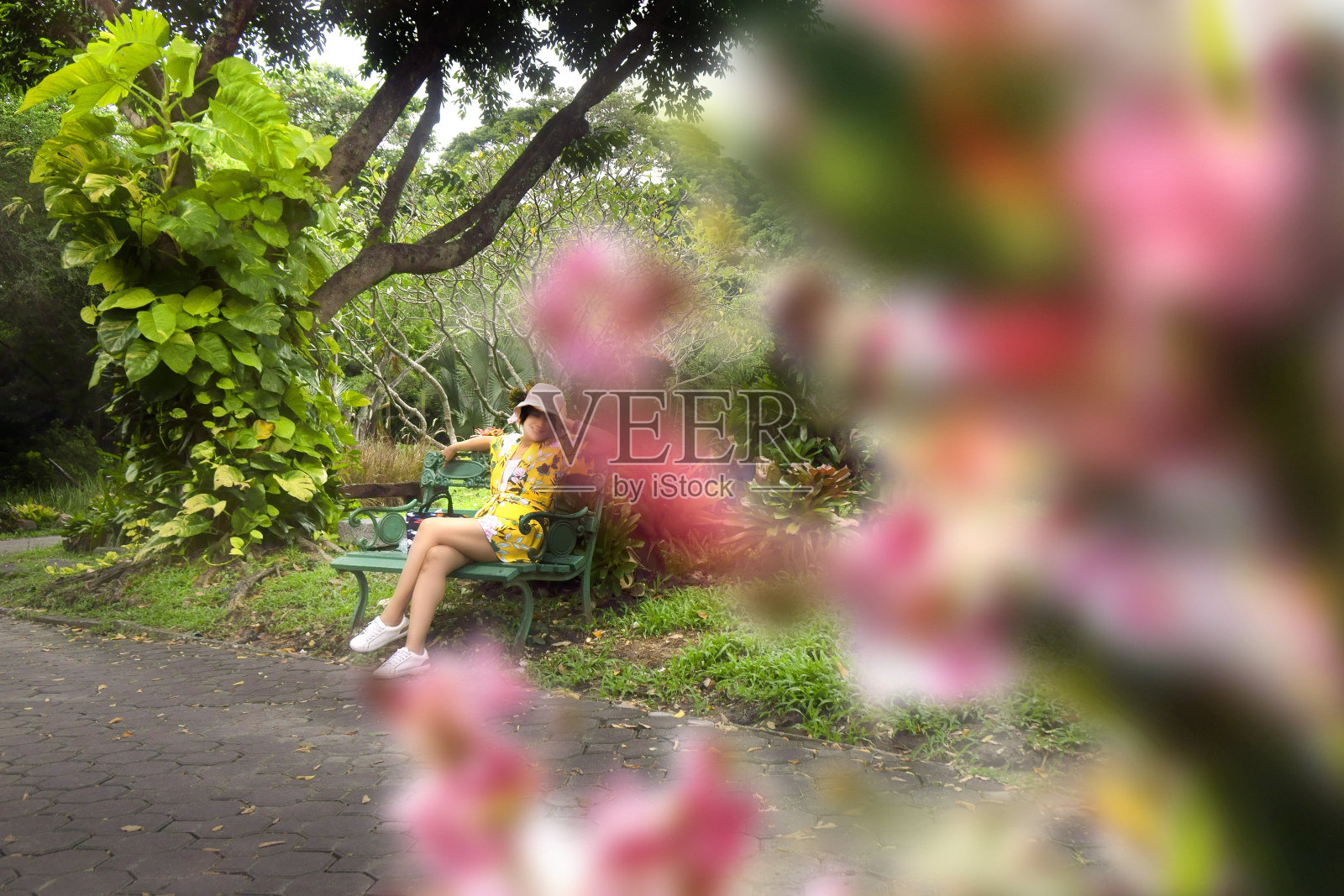 公园里年轻的亚洲女人的肖像照片摄影图片