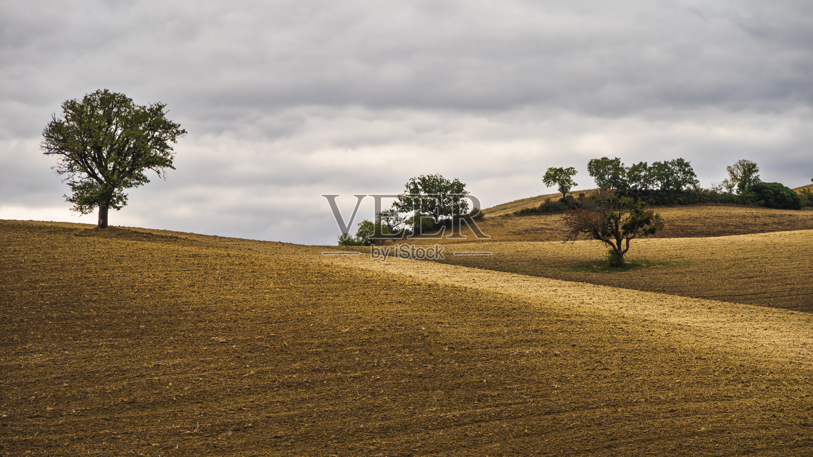 巴西利卡塔乡村景观照片摄影图片