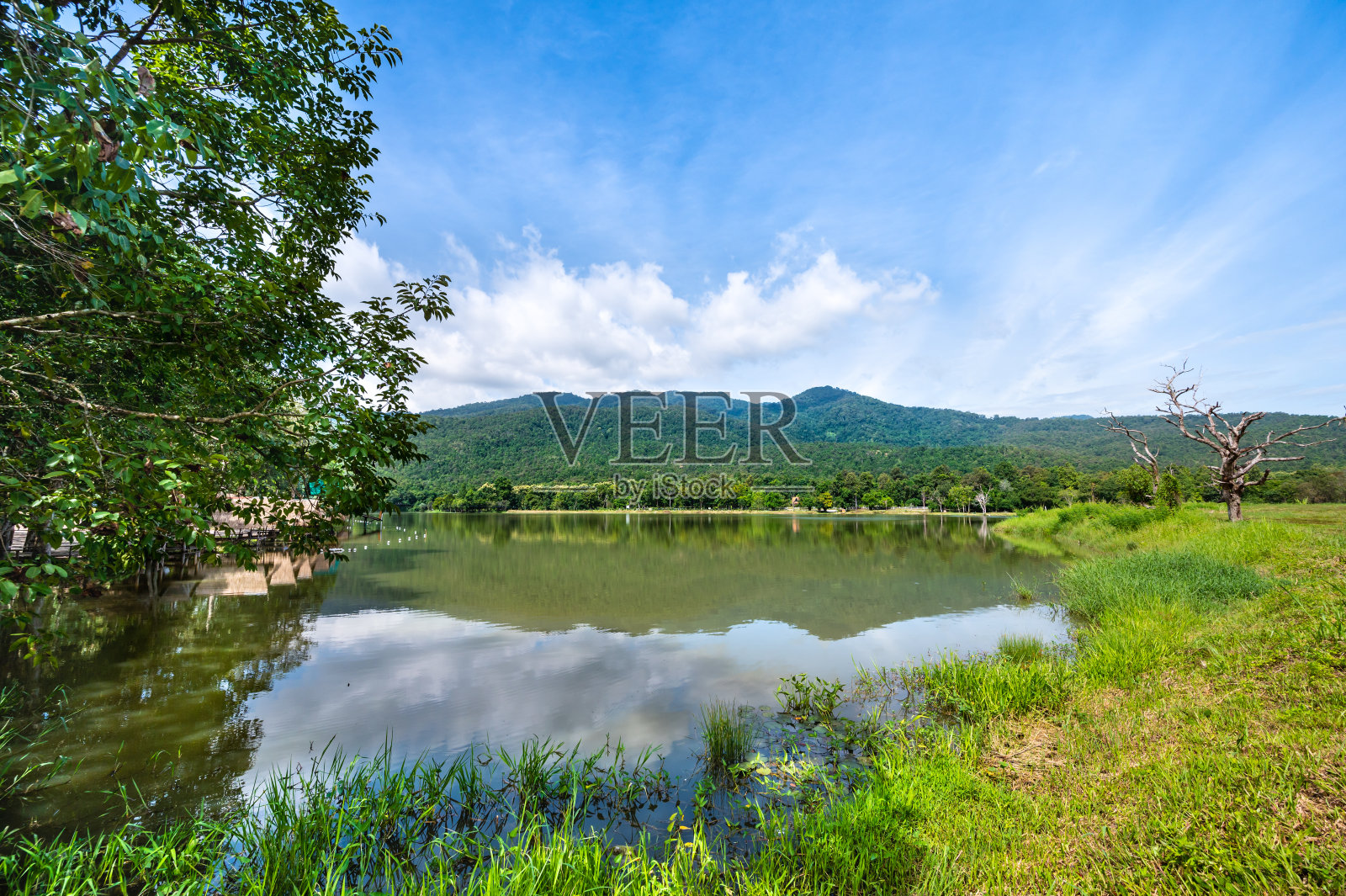 华屯涛湖的晨景照片摄影图片
