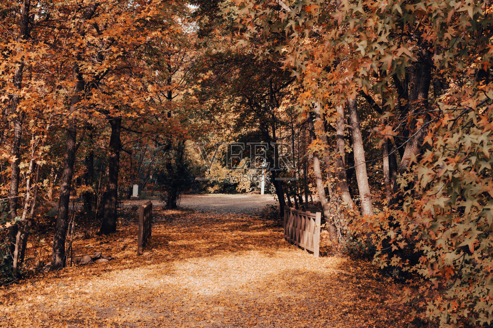 秋天的风景照片摄影图片